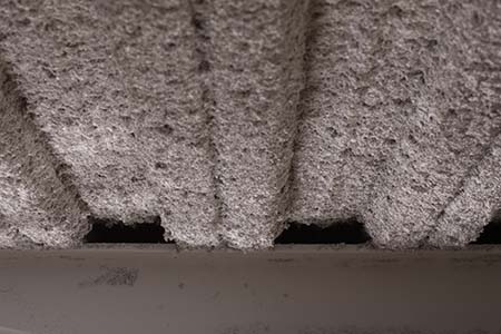 asbestos ceiling removal seattle